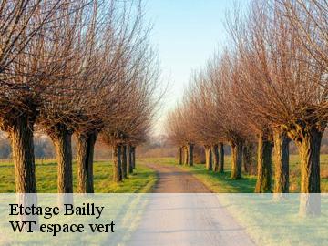 Etetage  bailly-78870 WT espace vert 