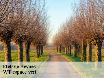 Etetage  beynes-78650 WT espace vert 