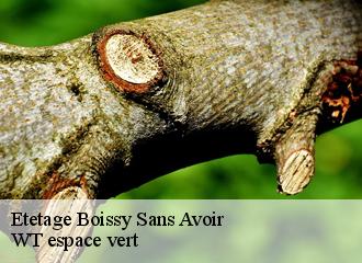 Etetage  boissy-sans-avoir-78490 WT espace vert 