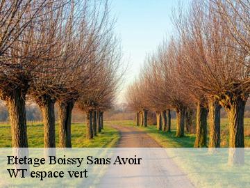 Etetage  boissy-sans-avoir-78490 WT espace vert 