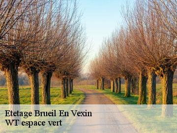 Etetage  brueil-en-vexin-78440 WT espace vert 