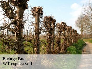 Etetage  buc-78530 WT espace vert 