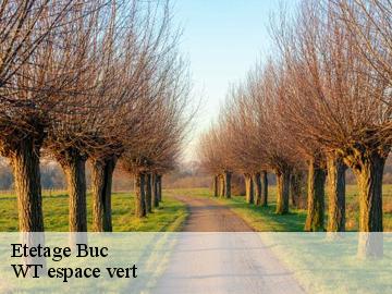 Etetage  buc-78530 WT espace vert 