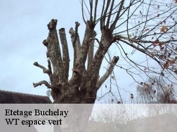 Etetage  buchelay-78200 WT espace vert 