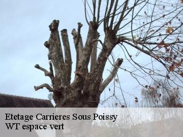 Etetage  carrieres-sous-poissy-78955 WT espace vert 