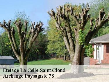 Etetage  la-celle-saint-cloud-78170 Archange Paysagiste 78