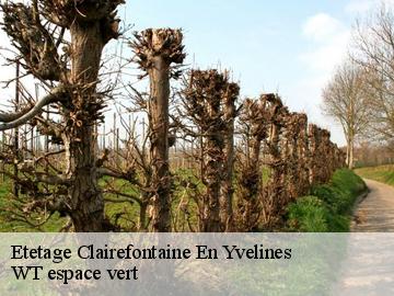 Etetage  clairefontaine-en-yvelines-78120 WT espace vert 