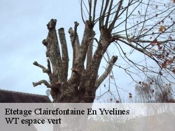 Etetage  clairefontaine-en-yvelines-78120 WT espace vert 