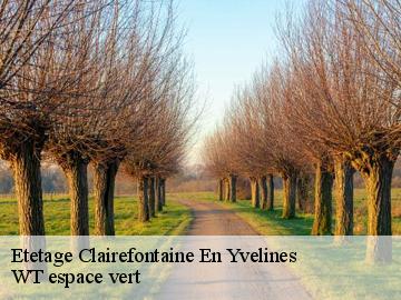 Etetage  clairefontaine-en-yvelines-78120 WT espace vert 