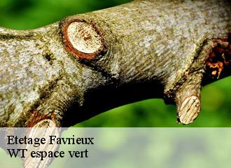 Etetage  favrieux-78200 WT espace vert 