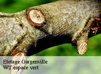 Etetage  gargenville-78440 WT espace vert 