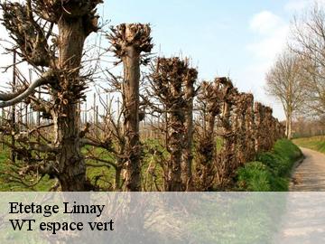 Etetage  limay-78520 WT espace vert 