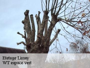 Etetage  limay-78520 WT espace vert 