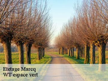 Etetage  marcq-78770 WT espace vert 