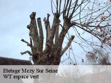 Etetage  mezy-sur-seine-78250 WT espace vert 