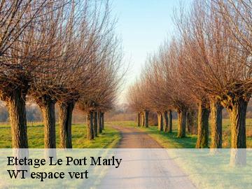 Etetage  le-port-marly-78560 WT espace vert 