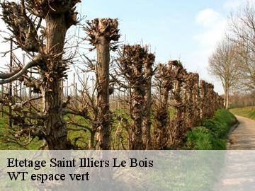 Etetage  saint-illiers-le-bois-78980 WT espace vert 