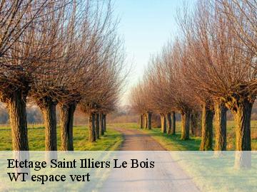 Etetage  saint-illiers-le-bois-78980 WT espace vert 