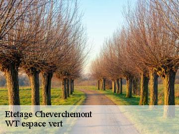 Etetage  cheverchemont-78510 WT espace vert 