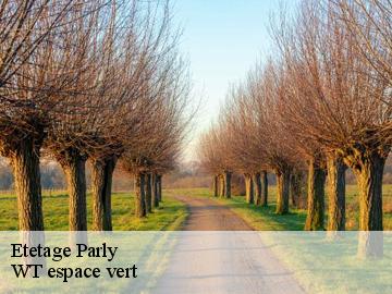 Etetage  parly-78150 WT espace vert 