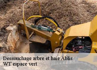 Dessouchage arbre et haie  ablis-78660 WT espace vert 