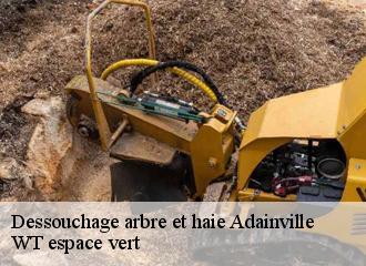 Dessouchage arbre et haie  adainville-78113 WT espace vert 