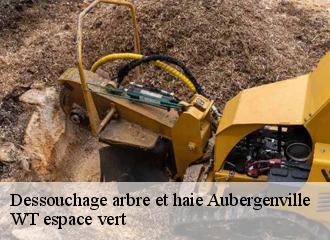 Dessouchage arbre et haie  aubergenville-78410 WT espace vert 