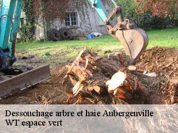 Dessouchage arbre et haie  aubergenville-78410 WT espace vert 