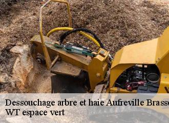 Dessouchage arbre et haie  aufreville-brasseuil-78930 WT espace vert 