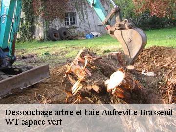 Dessouchage arbre et haie  aufreville-brasseuil-78930 WT espace vert 