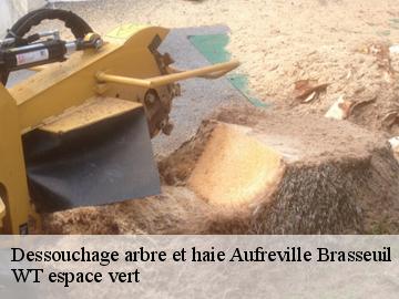 Dessouchage arbre et haie  aufreville-brasseuil-78930 WT espace vert 