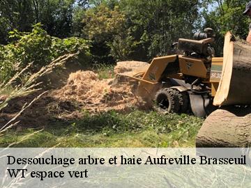 Dessouchage arbre et haie  aufreville-brasseuil-78930 WT espace vert 