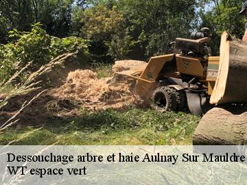 Dessouchage arbre et haie  aulnay-sur-mauldre-78126 WT espace vert 