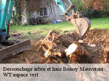 Dessouchage arbre et haie boissy-mauvoisin-78200 WT espace vert