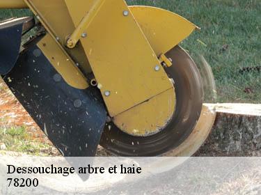 Dessouchage arbre et haie boissy-mauvoisin-78200 WT espace vert