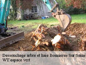 Dessouchage arbre et haie  bonnieres-sur-seine-78270 WT espace vert 