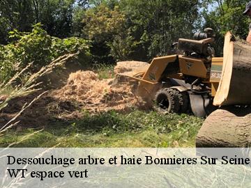 Dessouchage arbre et haie  bonnieres-sur-seine-78270 WT espace vert 