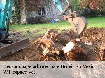 Dessouchage arbre et haie  brueil-en-vexin-78440 WT espace vert 