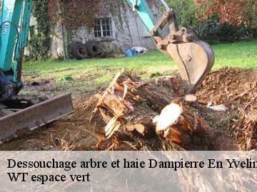 Dessouchage arbre et haie  dampierre-en-yvelines-78720 WT espace vert 