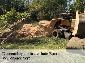 Dessouchage arbre et haie  epone-78680 WT espace vert 