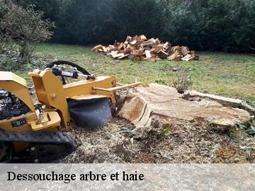 Dessouchage arbre et haie  fontenay-mauvoisin-78200 WT espace vert 