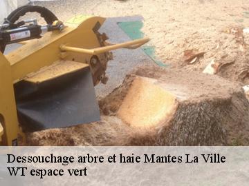 Dessouchage arbre et haie  mantes-la-ville-78200 WT espace vert 