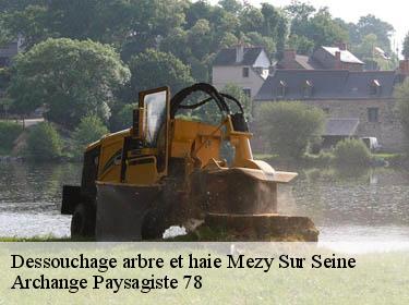Dessouchage arbre et haie  mezy-sur-seine-78250 Archange Paysagiste 78