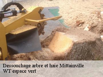 Dessouchage arbre et haie  mittainville-78125 WT espace vert 