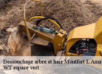 Dessouchage arbre et haie  montfort-l-amaury-78490 WT espace vert 