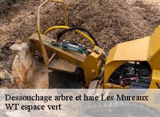 Dessouchage arbre et haie  les-mureaux-78130 WT espace vert 