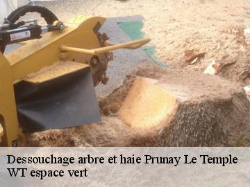 Dessouchage arbre et haie  prunay-le-temple-78910 WT espace vert 