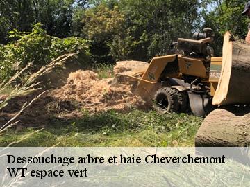 Dessouchage arbre et haie  cheverchemont-78510 WT espace vert 