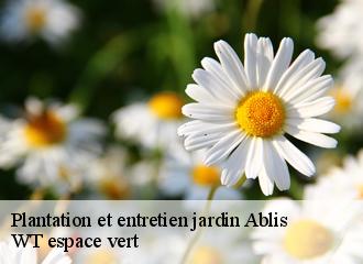 Plantation et entretien jardin  ablis-78660 WT espace vert 