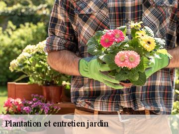 Plantation et entretien jardin  ablis-78660 WT espace vert 